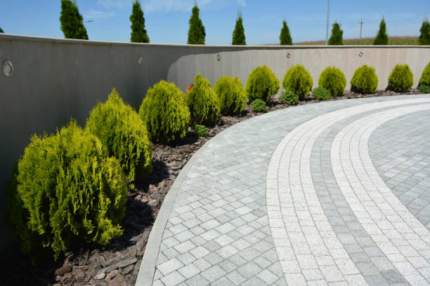 Best Affordable Driveway Paving  in Sebastian, TX